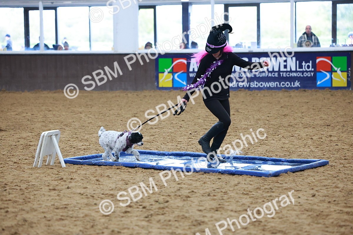 SBM_001574 - Class 3 - Horse & Hound (60cm)