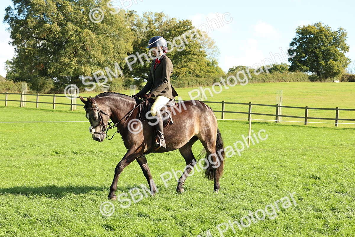 SBM_50105 - S34 - Novice & Newcomers Working Hunter