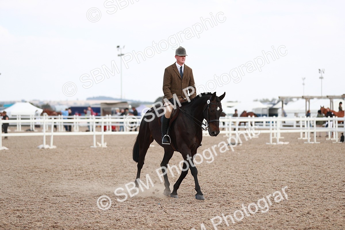 SBM_15516 - Class 213 Ridden Hunter -Large