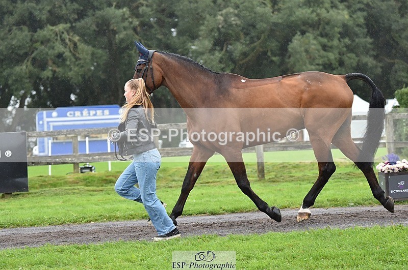 231018-122556-00288 - 035-ZADOK.D-Charlie.Piper-TrotUp