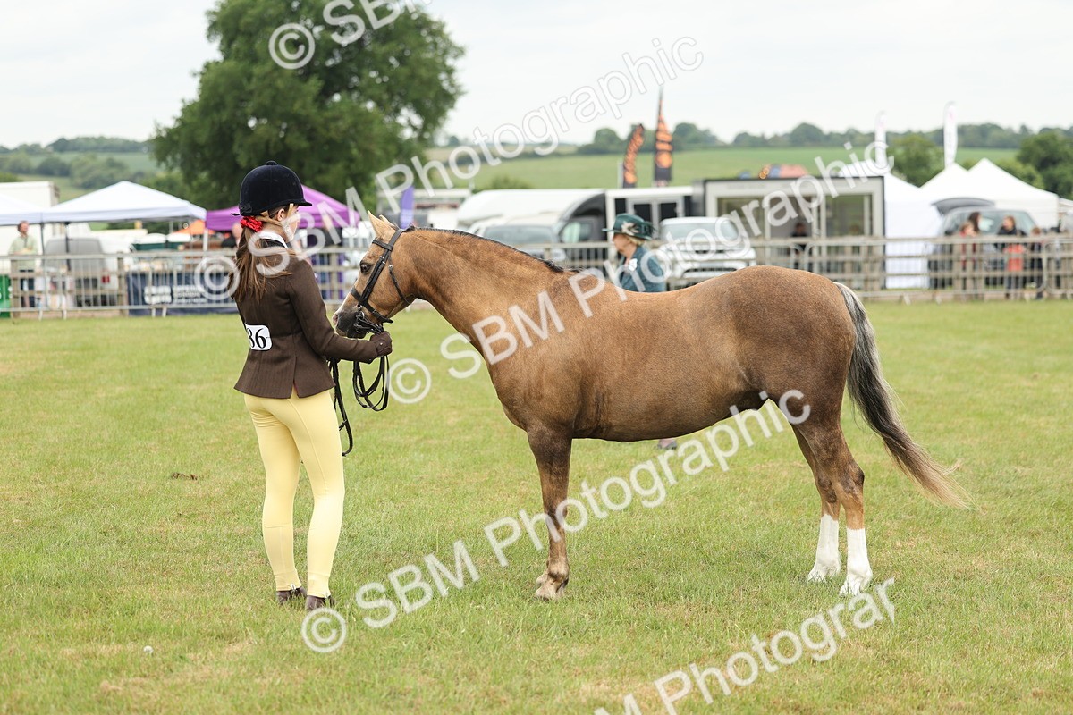 SBM_07122 - Class 76-77 - Ridden M&M Welsh Ponies