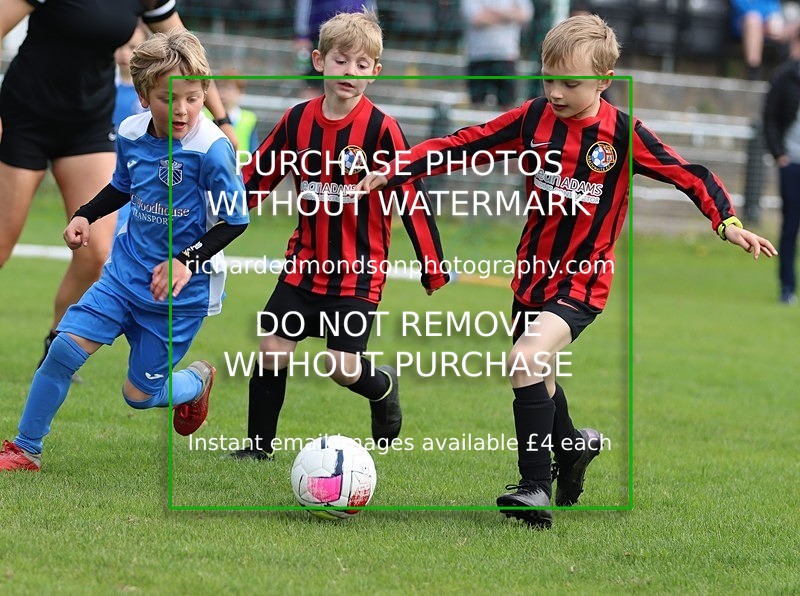 IMG_9493 - Wattsfield Under 7's