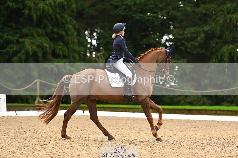 231021-101035-12685 - 221-RUBIN.MOON.SB-Gemma.Watts-DR