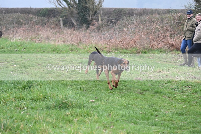 WJ7_0289 - Line 2 cam A