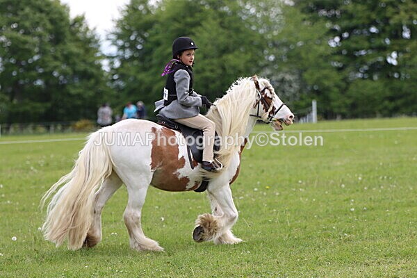 IMG_2450 - Working Hunter