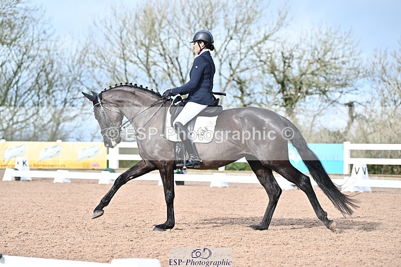 240218A-115822-06940 - 204-Elder.Klatzko-Dynasty.Hit