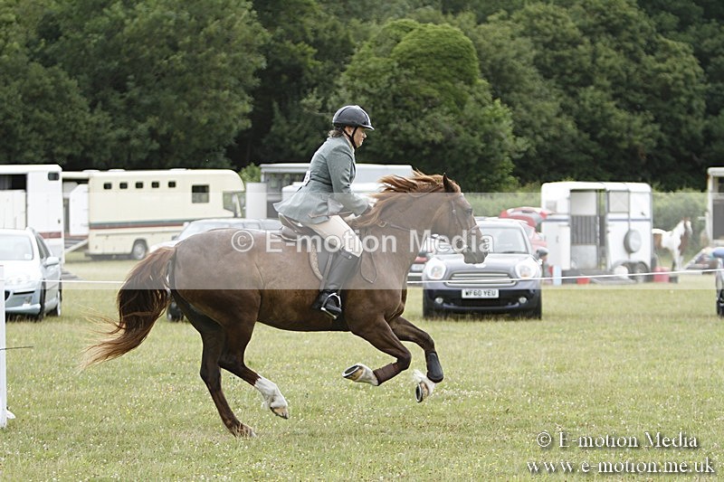 BVR160717-416 - Ring 3 BVRC Show 16/07/17