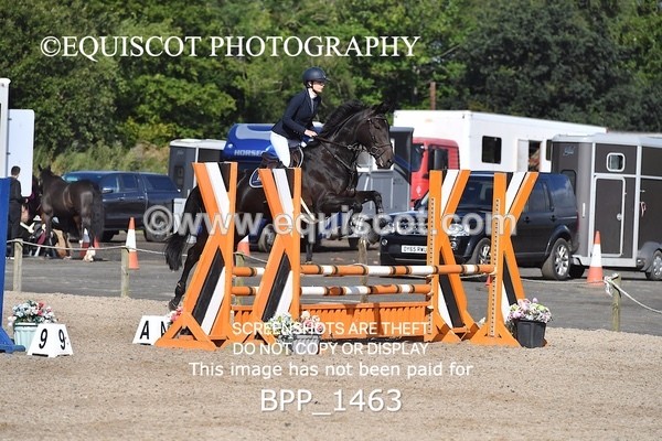BPP_1463 - CLASS 3 SAT Senior British Novice/ 90cm Open