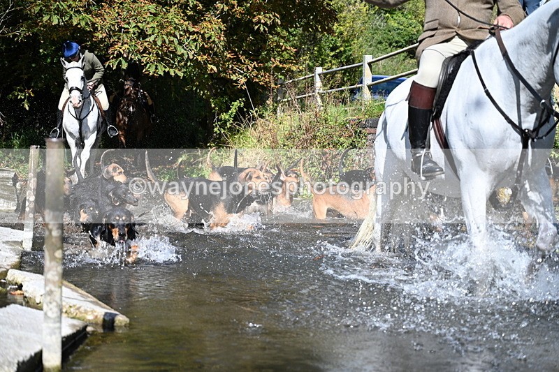 WJ7_5957 - Hounds Water Crossing