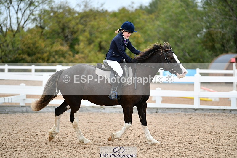 241013B-153937-01956 - Cls 6 80cm