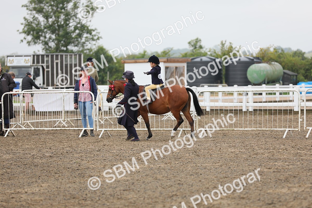 SBM_21775 - Class 806 - Young ridder 10 Yr & Under