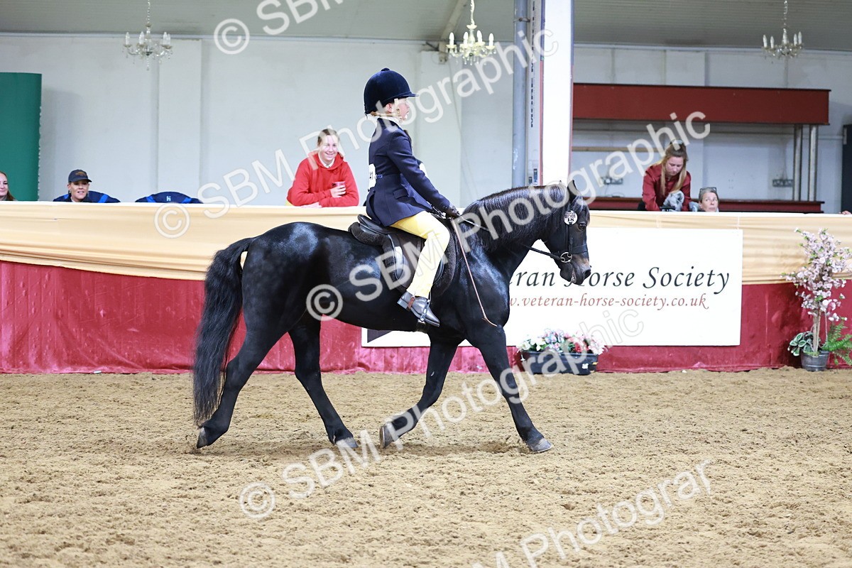 SBM_19947 - Class A - Junior Champ 10yr and Under