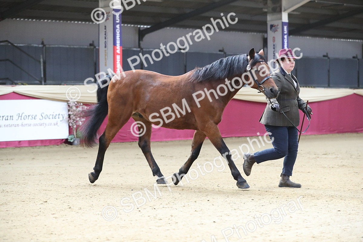 SBM_00259 - Class 1a - Area IH Diamond
