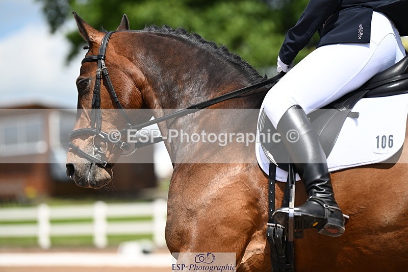 240621A-142528-04274 - Cls 8 BD Elementary 53