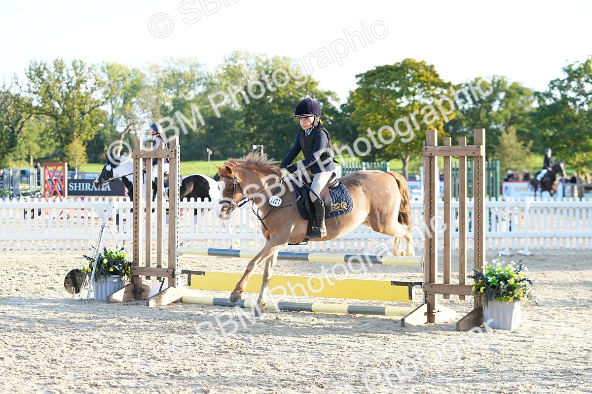 SBM_54096 - Supreme Championship 60cm 65cm