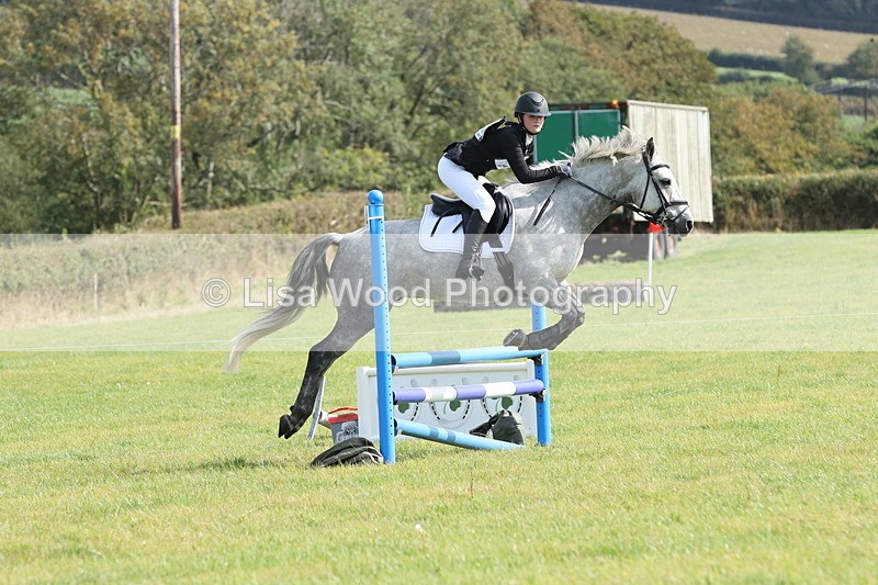 JPP_8637 - Class 2: Trekenning: 80cm Showjumping