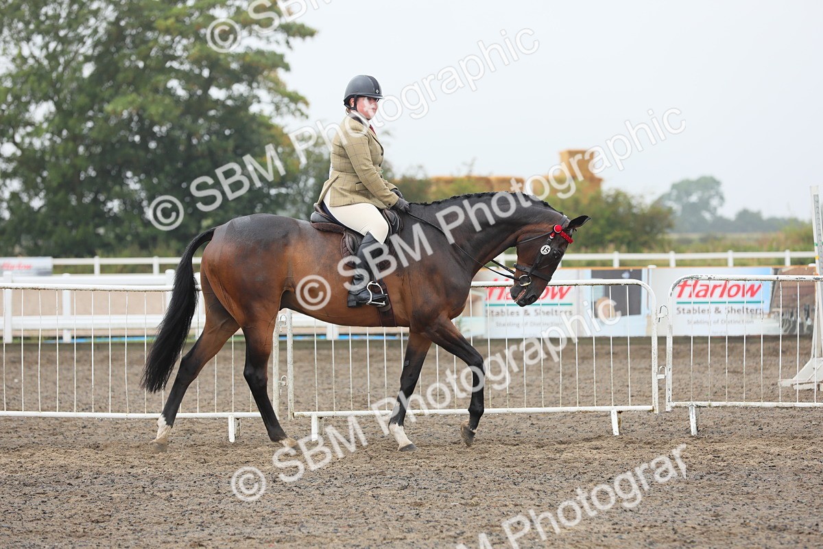 SBM_21222 - Class 805 - Ridden Veteran Horse