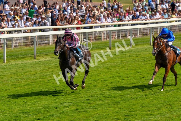 160623-Race 4-Chichester-6332 - Race 4 3.35pm Seat Unique Ganton Stakes