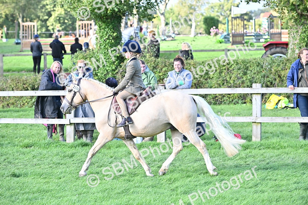 SBM_51219 - S22 - First Ridden show and show Hunter Pony