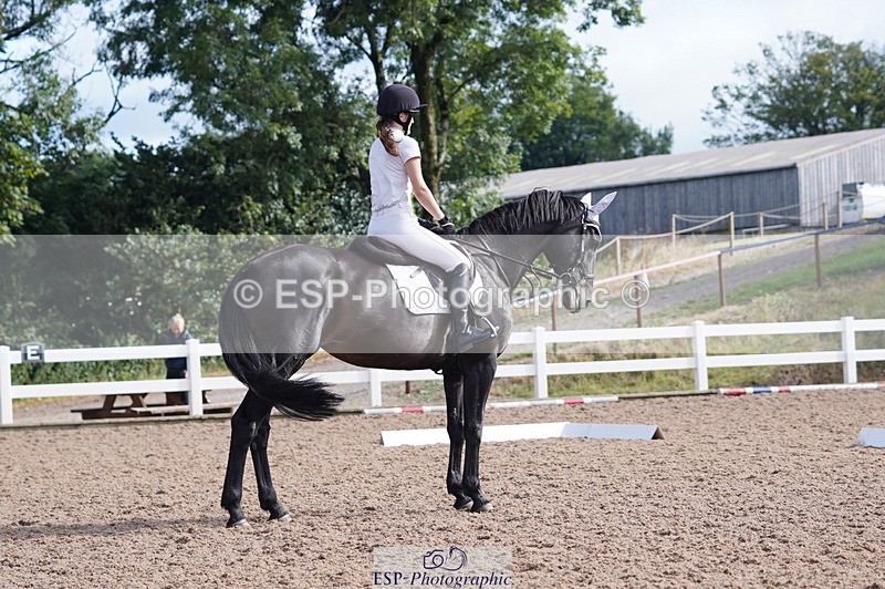 240809A-092834-00248 - Dressage Competition