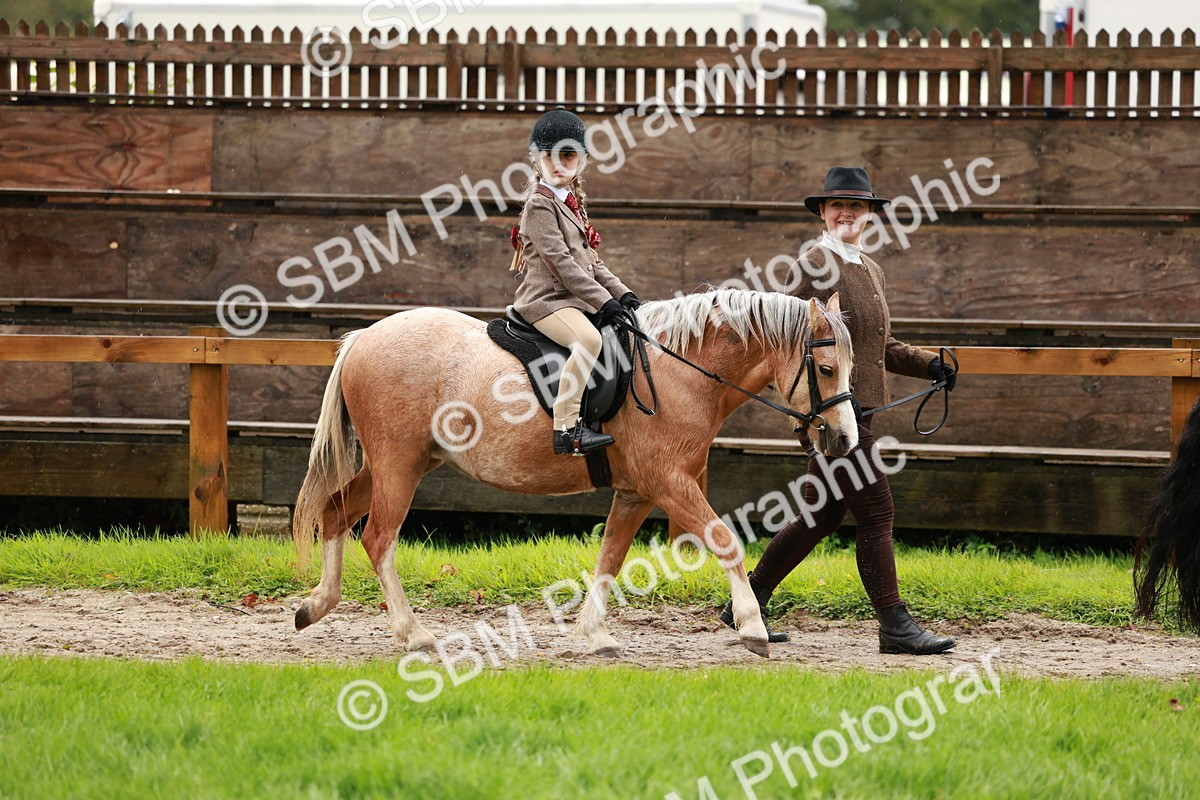 SBM_33740 - S9 - Lead Rein Equitation