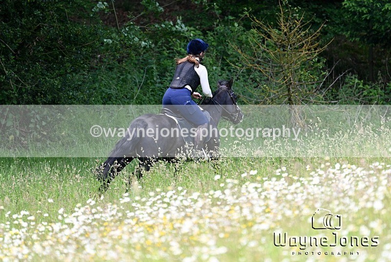 WJ7_8573 - Edited examples