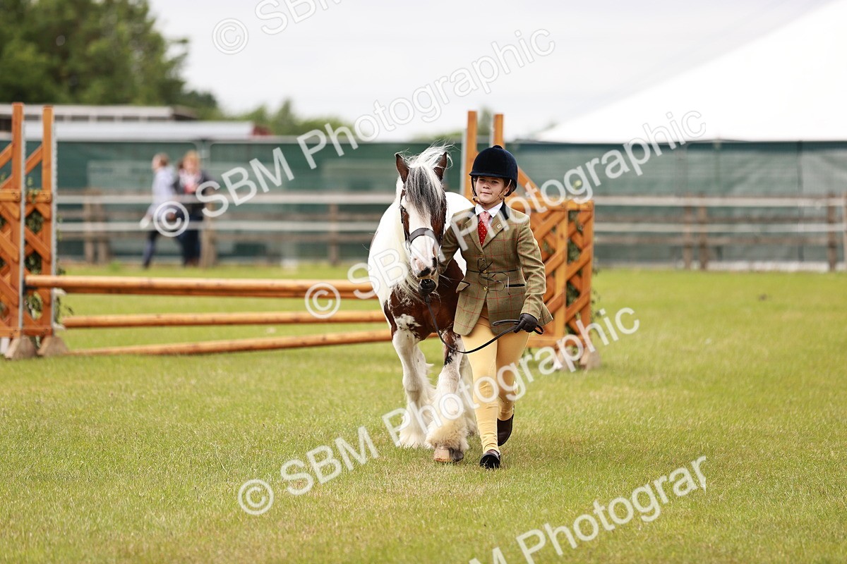 SBM_06062 - Class 39-41 TGCA In Hand and Ridden