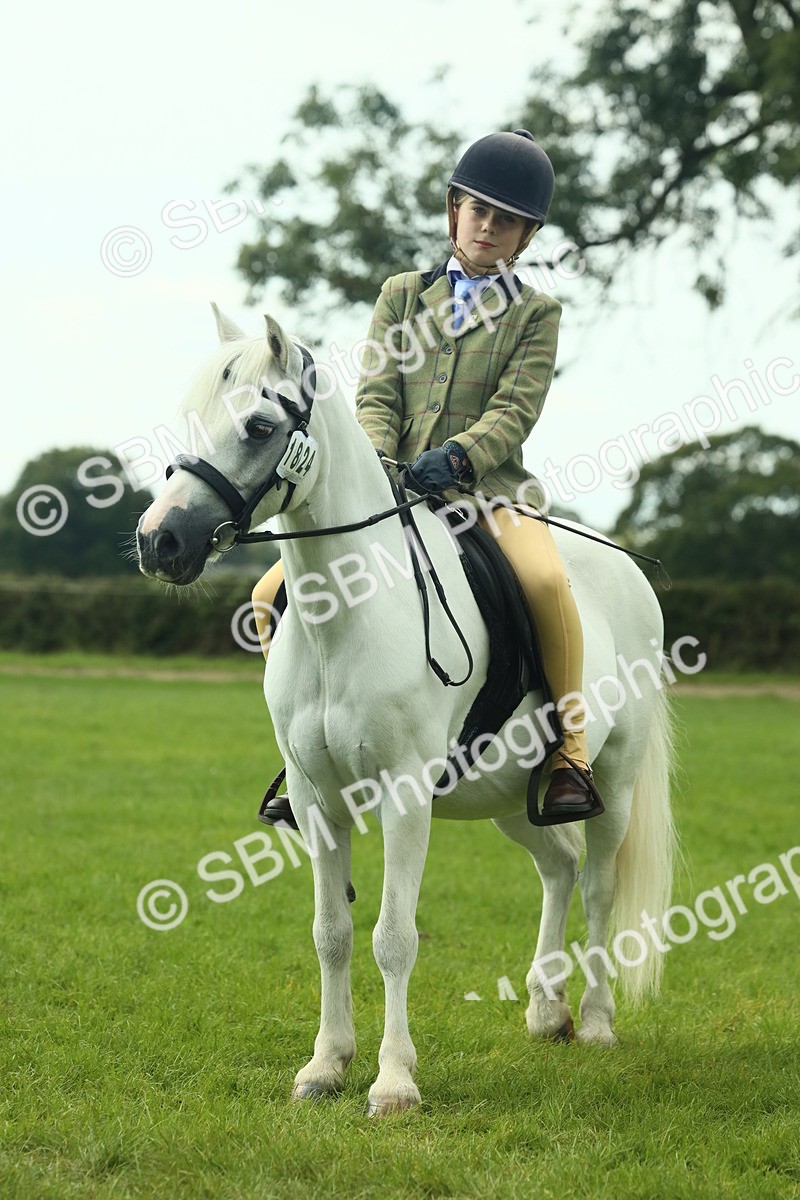 SBM_66465 - S34 - Rehabilitated Rescue Horse & Pony In Hand & Ridden