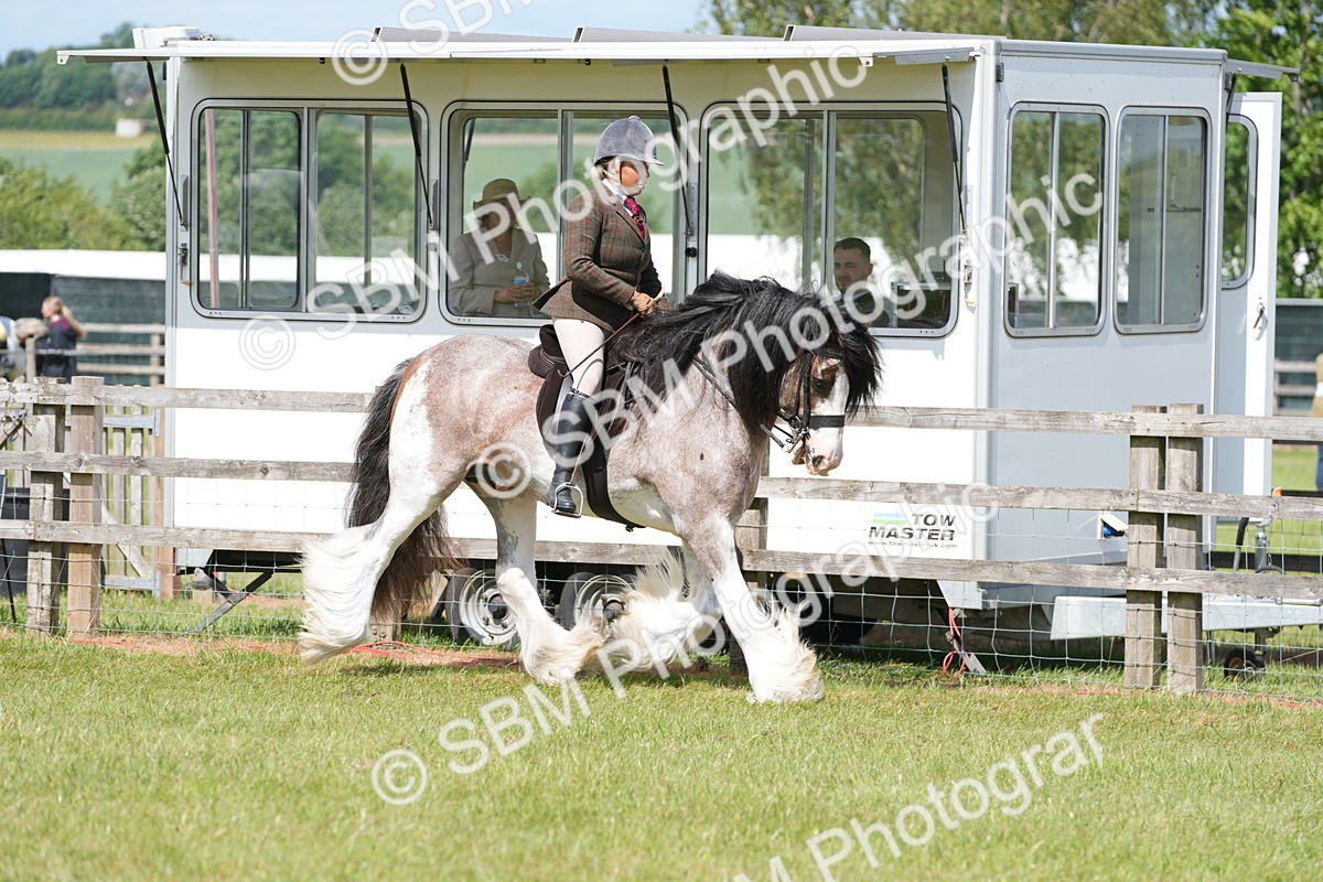 SBM_17105 - Class 107-108 - LIHS BSPS Performance Coloured Horse Pony