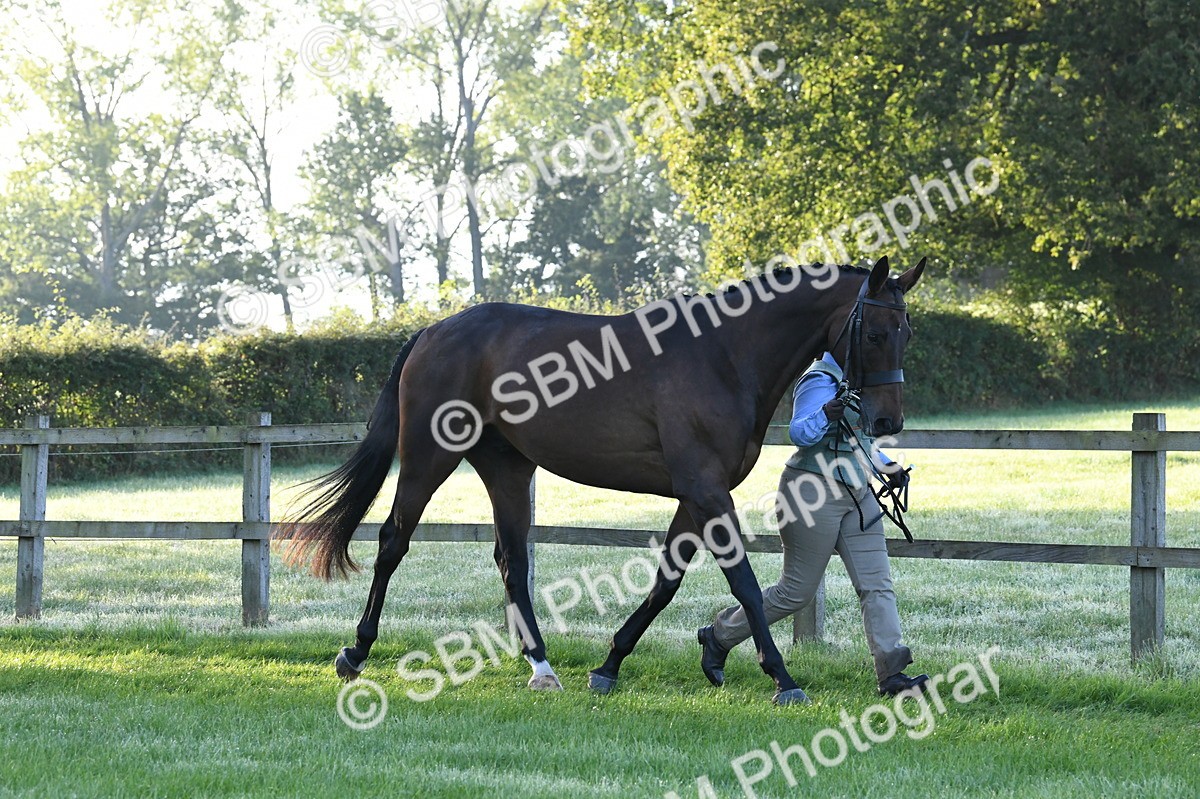 SBM_32616 - S15 - Condition & Turnout In Hand