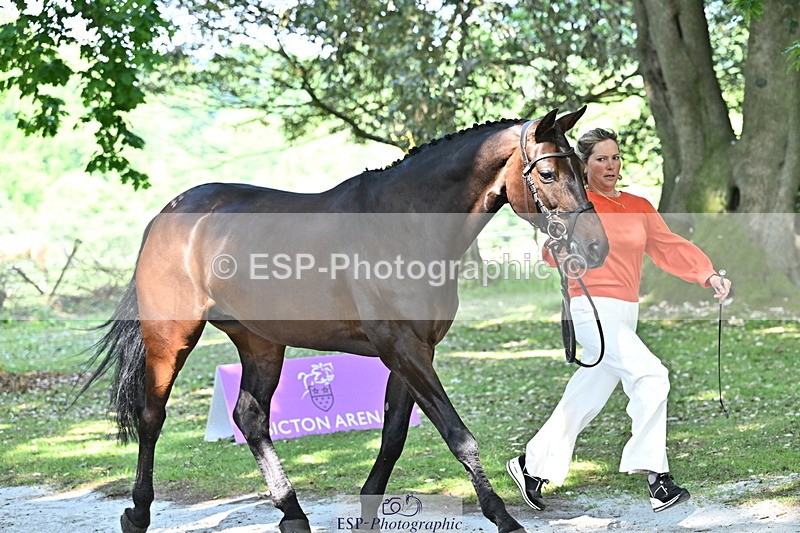 250521A-153518-00613 - B-319-Ali.Wilkes-JAZZ.ROOS