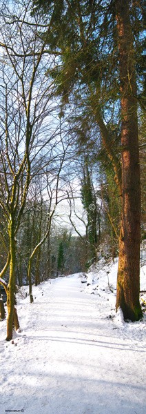 Loggerheads-path-winter - Places of Interest