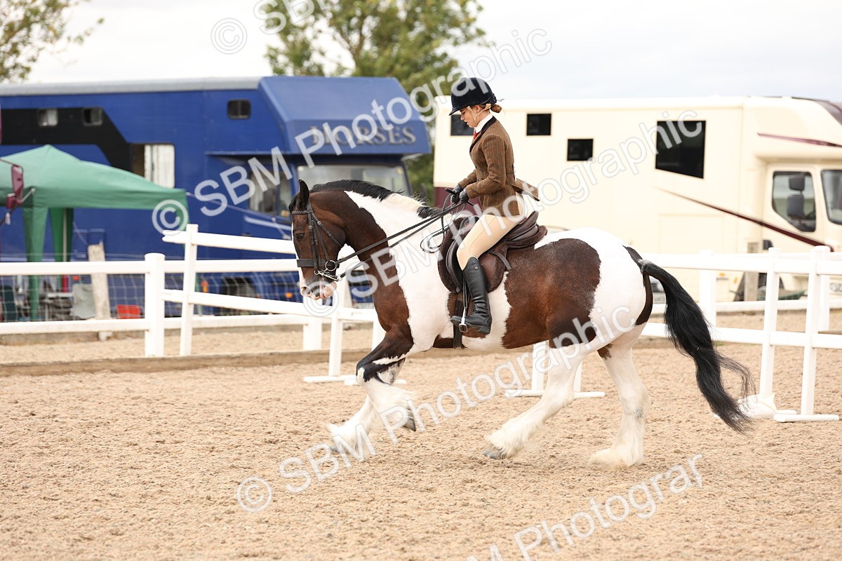 SBM_19680 - Class 216 - Ridden Traditional - Native Cob