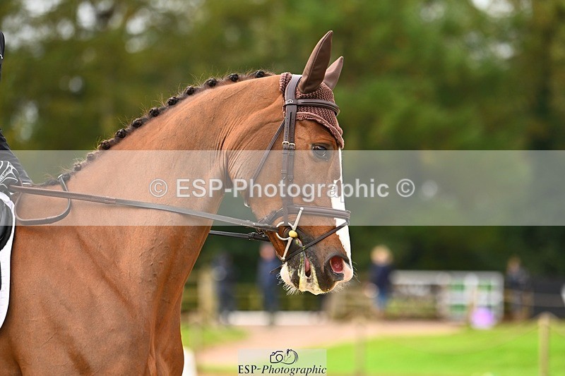 231021-100242-12951 - 331-KINSALE.OLTAIRE-Sean.Duffy-DR