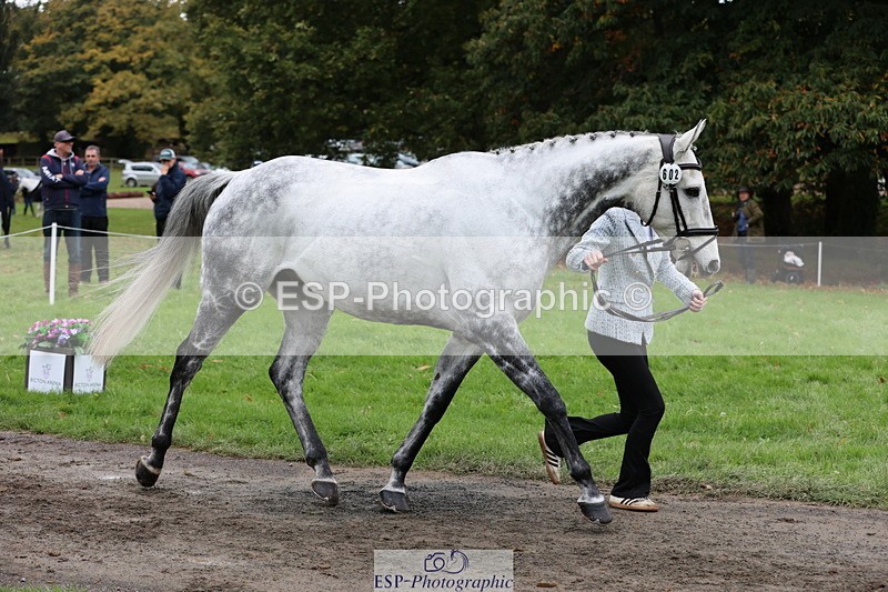 251026A-112655-25444 - H-602-Alice.Sandiford