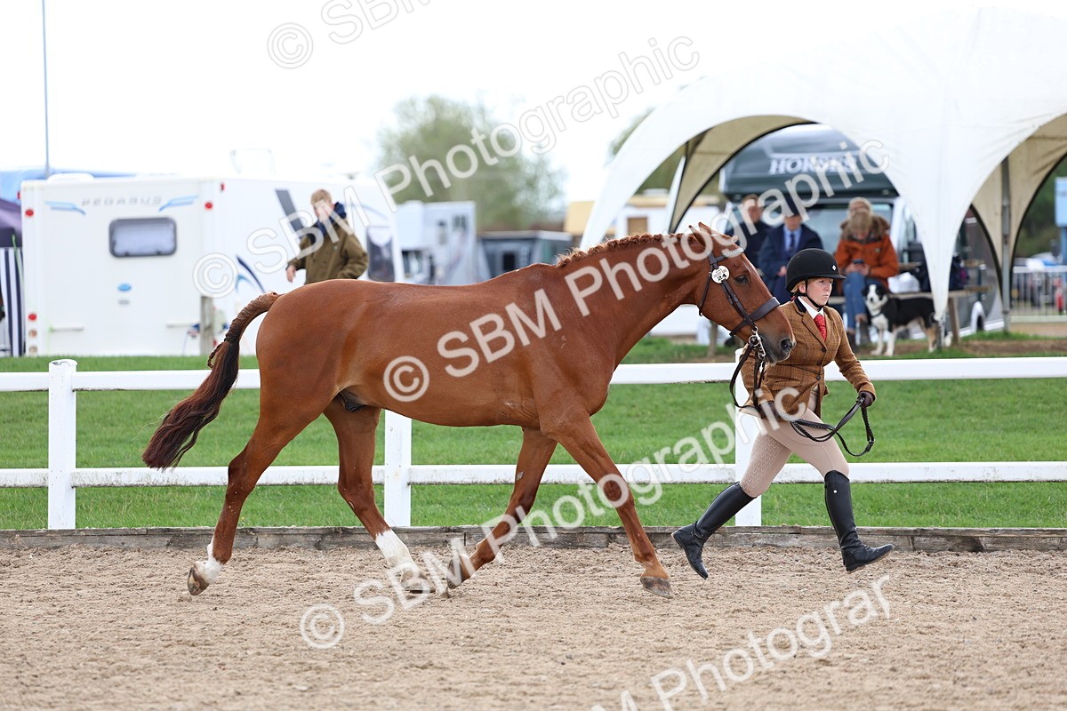 SBM_05022 - Class 27 - IH Competition Horse or Pony