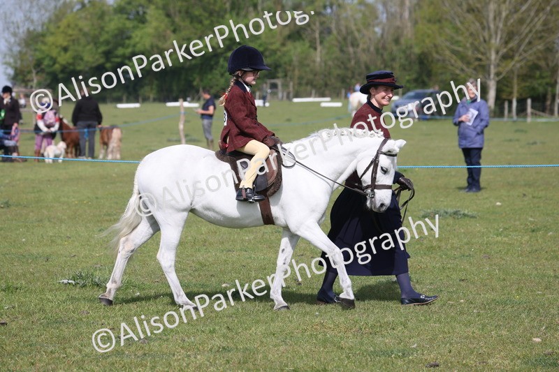 20260426-0566 - Class 31 - Leading Rein