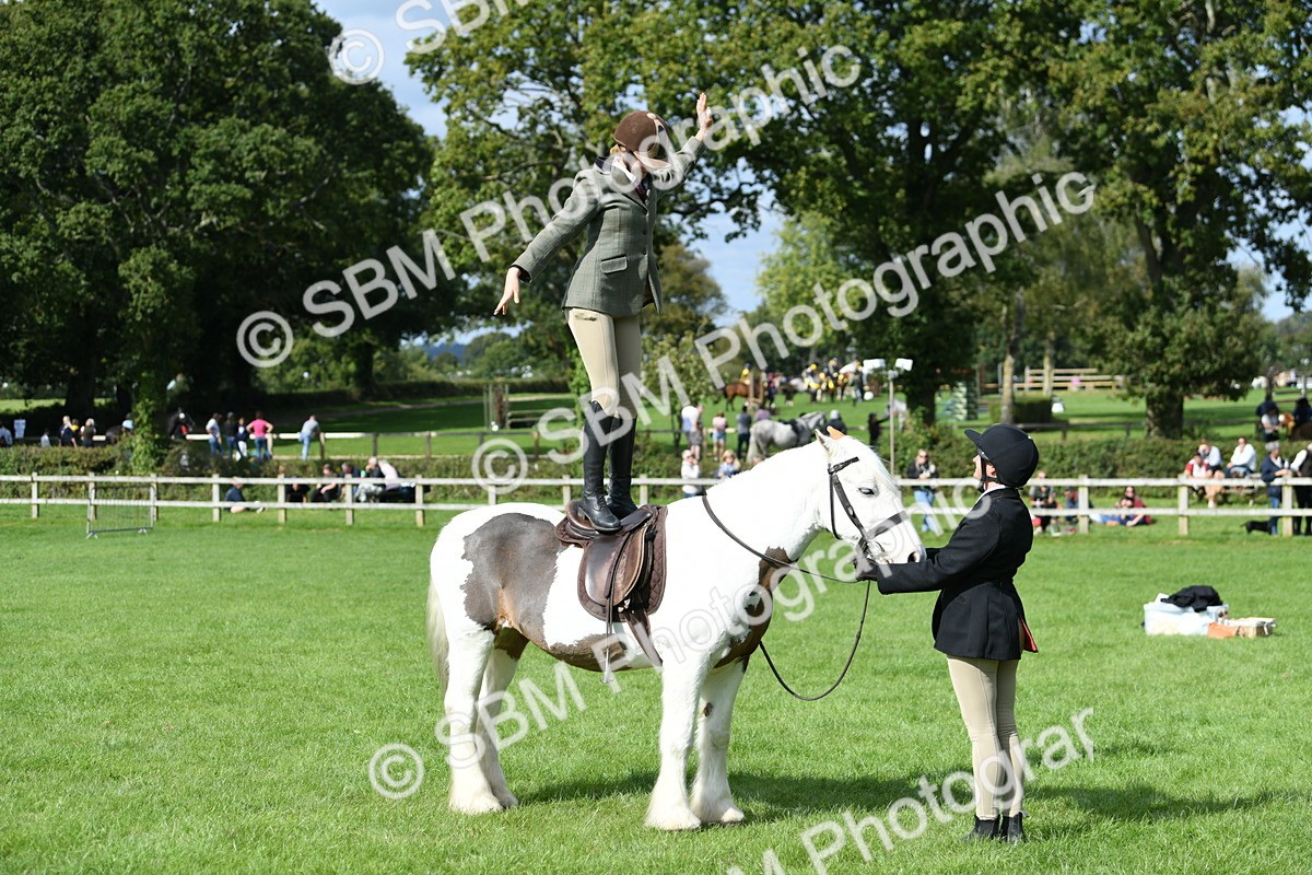 SBM_47036 - S12 - Family Horse & Pony