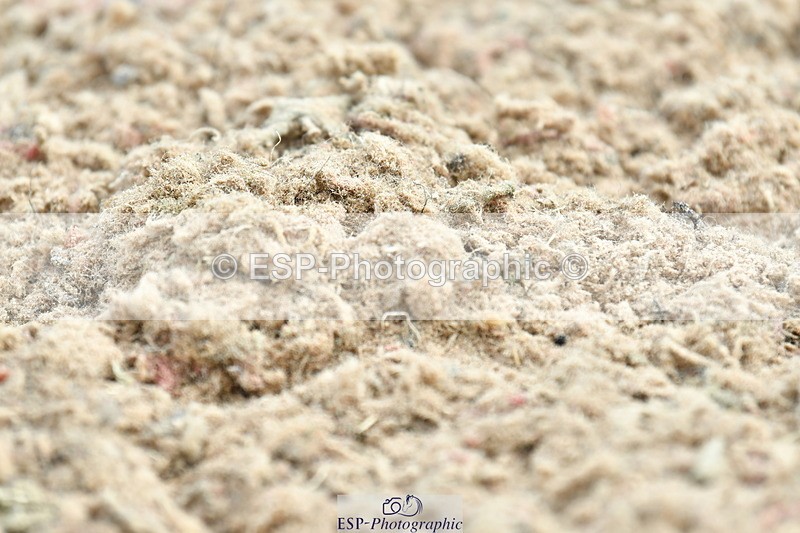 230630A-093419-00136 - Cls 2 Prelim 19