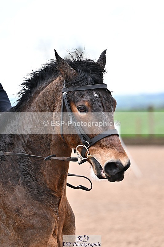 260208-133853-01421 - Cls 19+20 Club and Schools 60cm