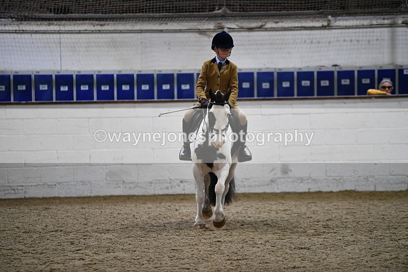 WJ5_7283 - Class 11 Ridden PC - RC Pony