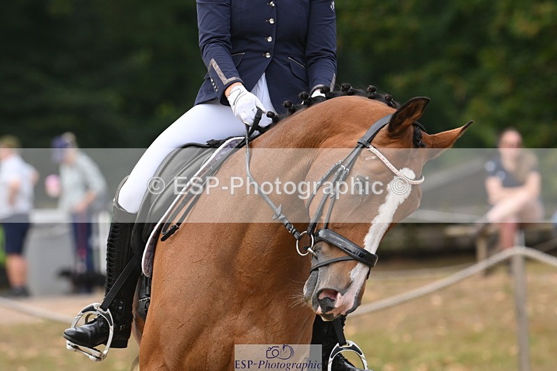 250719A-111210-04248 - 065-Amy.Richards-Im.Fine