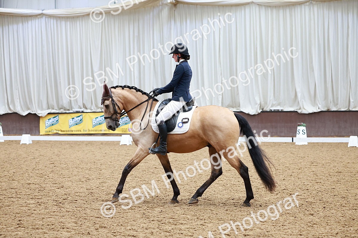 SBM_001117 - Class 1-10-8-3-11 - MCI PRIMERA-FLAMENCA-NOVILLA-FANDANGO - FEI PSG
