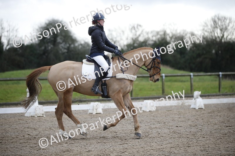 20260127-0317 - Class 16 - BD Novice 2