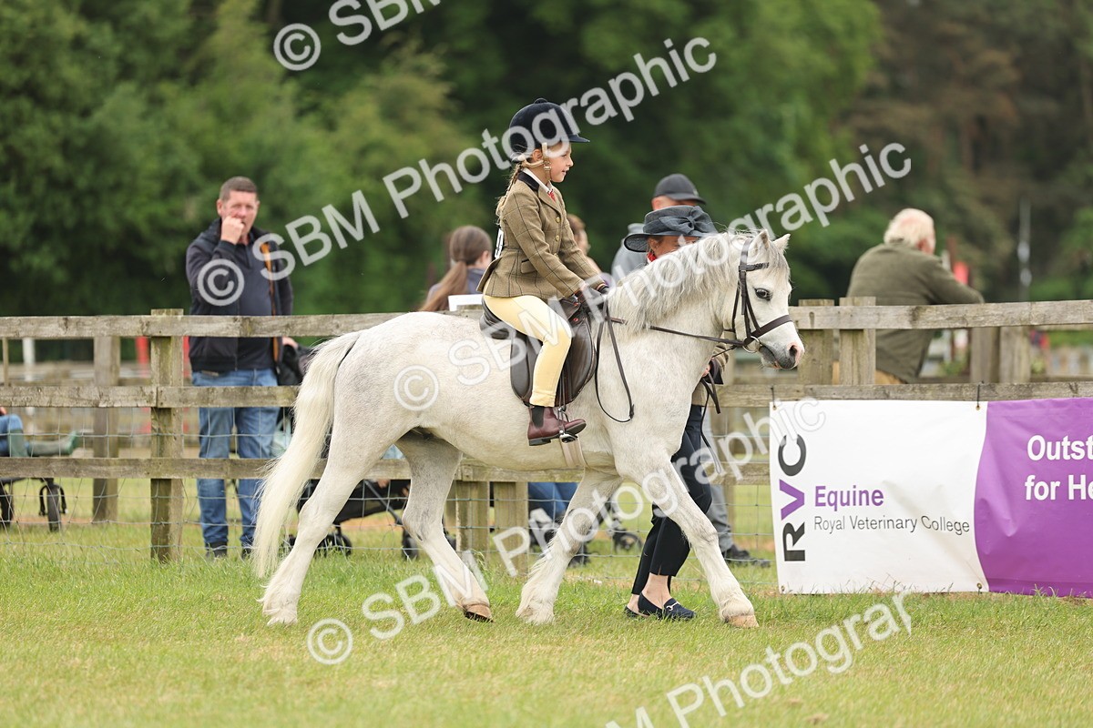 SBM_06738 - Class 74-75 - M&M Lead Rein and First Ridden Pony