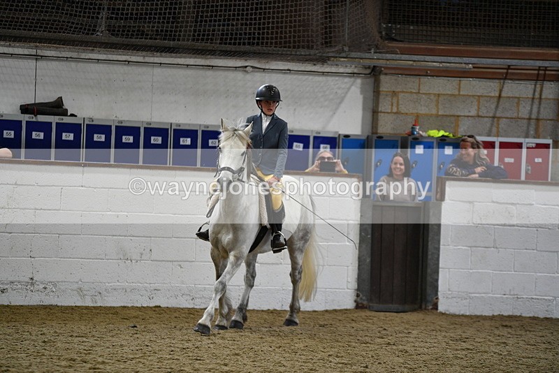 WJ5_7912 - Class 13 Ridden Part Breed