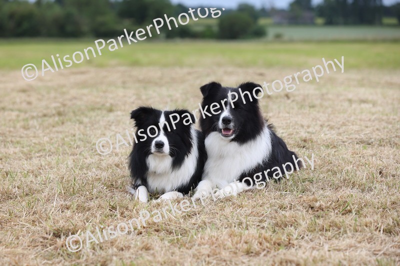 20250607-0501 - Misc