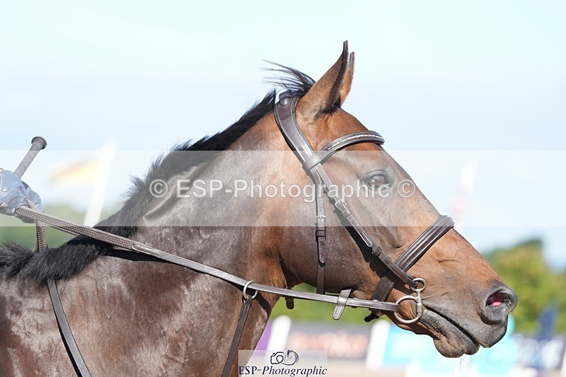 250802-092735-08326 - Cls 19 British Novice and 90cm Open