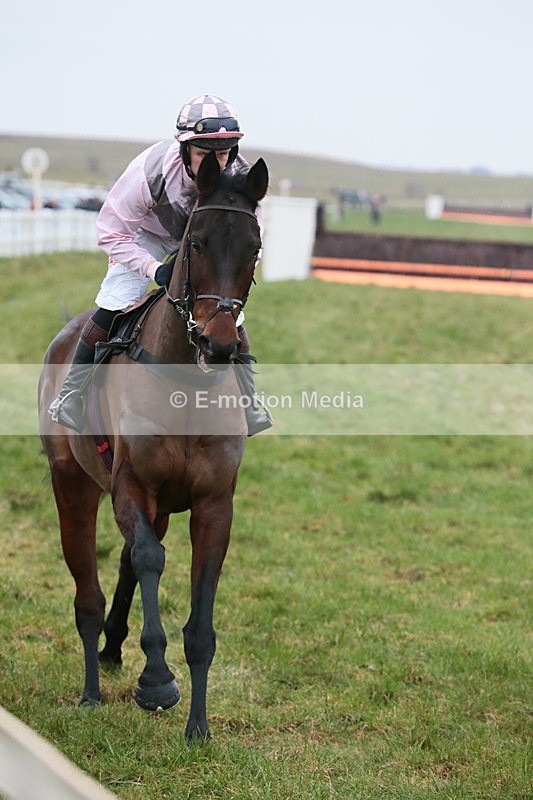 PtP 060119 3 - Larkhill Racing Club - Point-to-Point- 06/01/2019