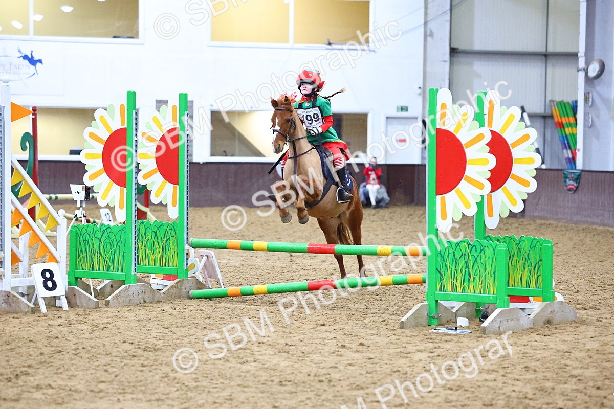 SBM_001445 - Class 3 - Christmas Tree Stakes - 60cm